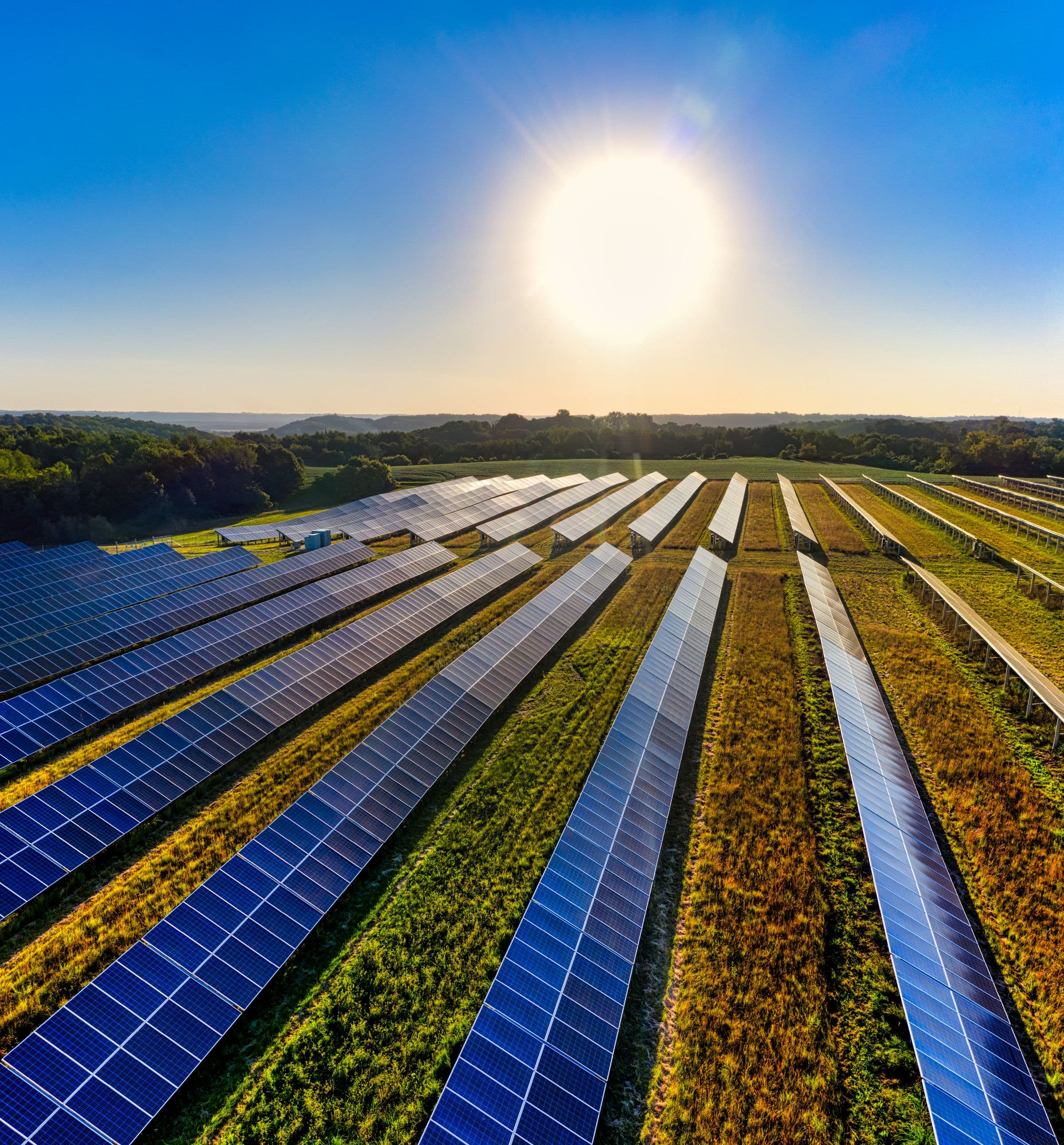 Aerial view of solar panels installed across farmland